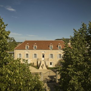 Como Le Montrachet Burgundy