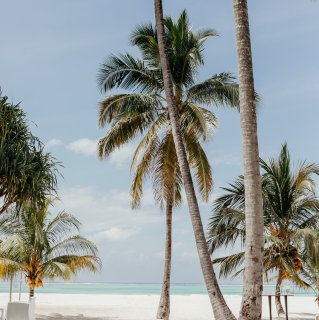 Family Travel Zanzibar Palmtrees
