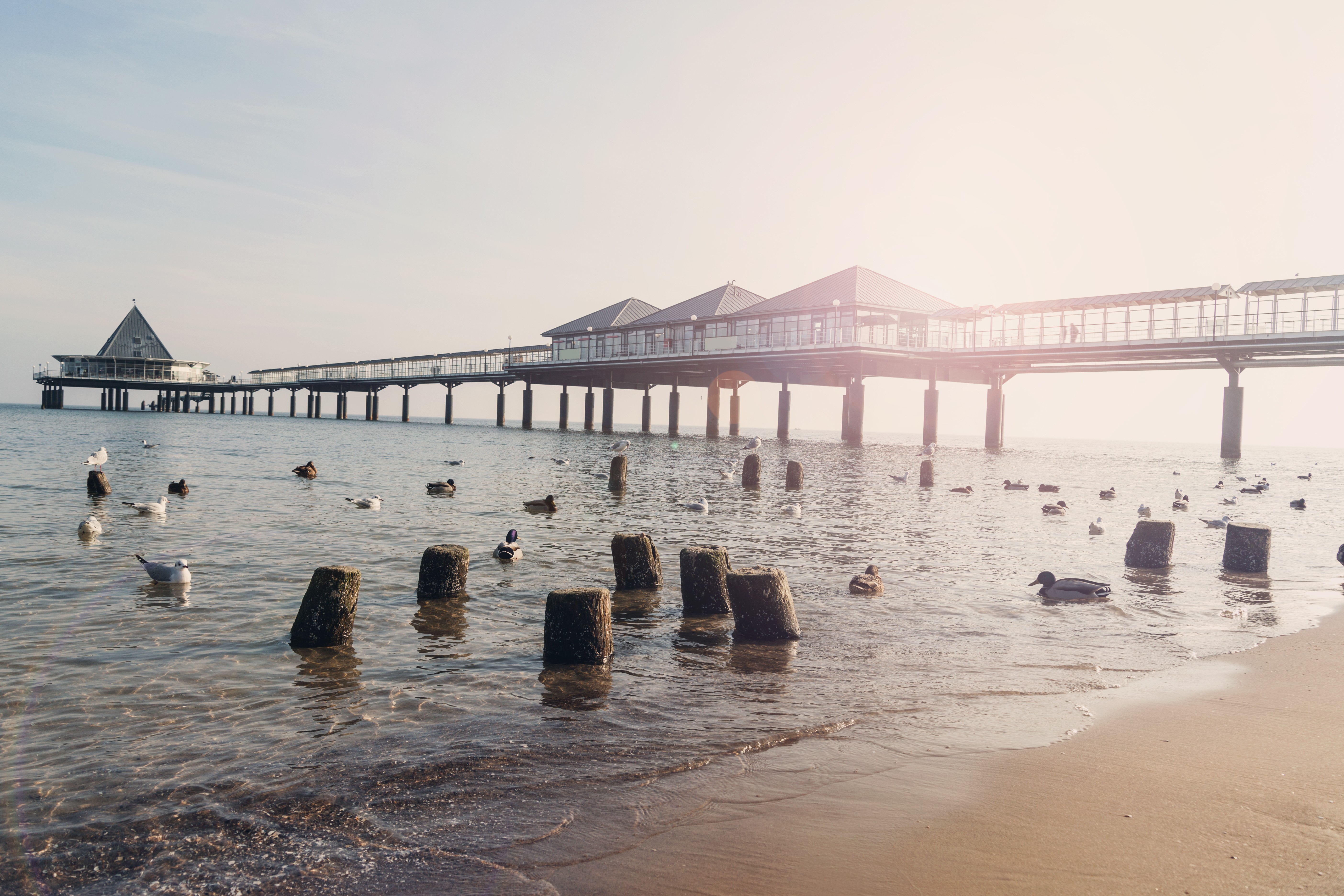 Reisen In Deutschland Usedom Heringsdorf