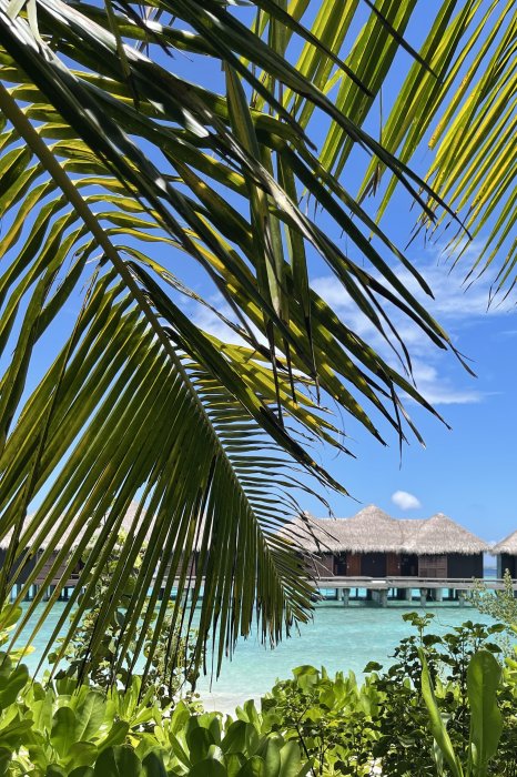 Family Holiday Resort Maldives