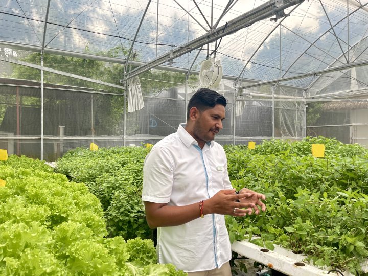 Greenhouse Le Meridien Maldives