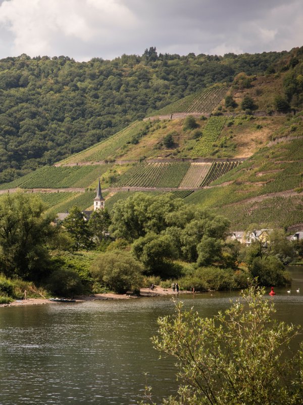 Family Travel Mosel Germany Tourist Information Ferienland Cochem