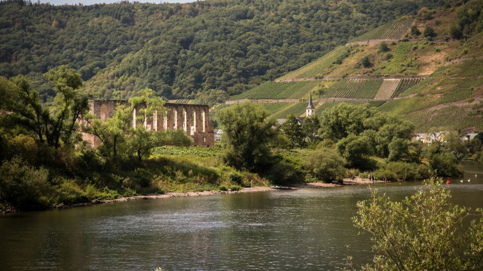Family Travel Mosel Germany Tourist Information Ferienland Cochem