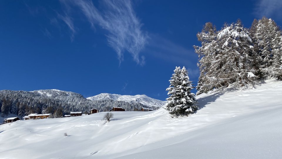Family Holliday Guarda Val Lenzerheide Winter