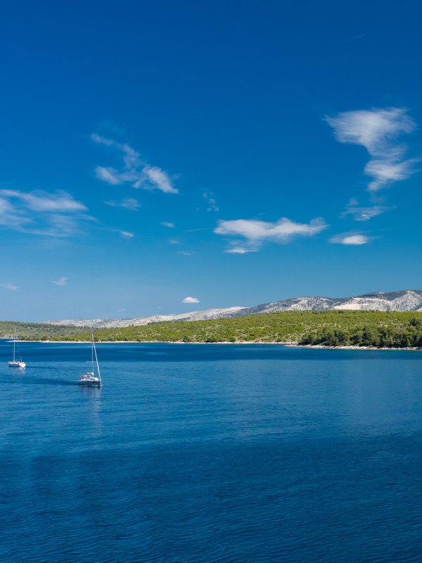 Island Life Nikolaradovani 02