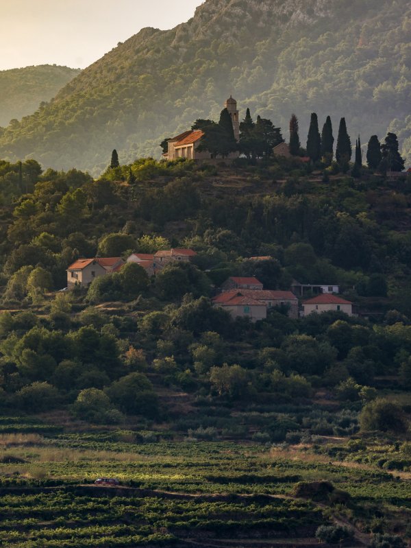 Island Life Nikolaradovani 14