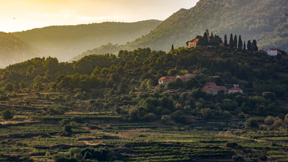 Island Life Nikolaradovani 14