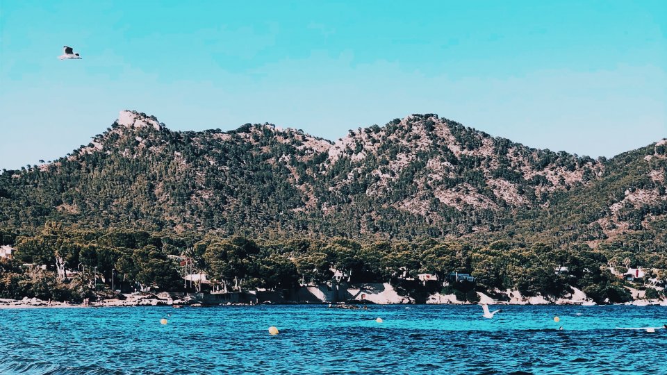 Discover Hidden Mallorca With Kids