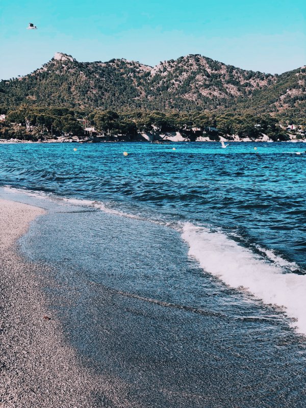 Discover Hidden Mallorca With Kids