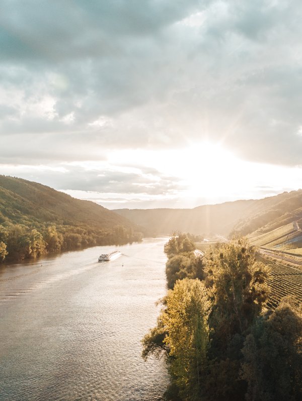 Mosel Deutschland Wein Familienreise