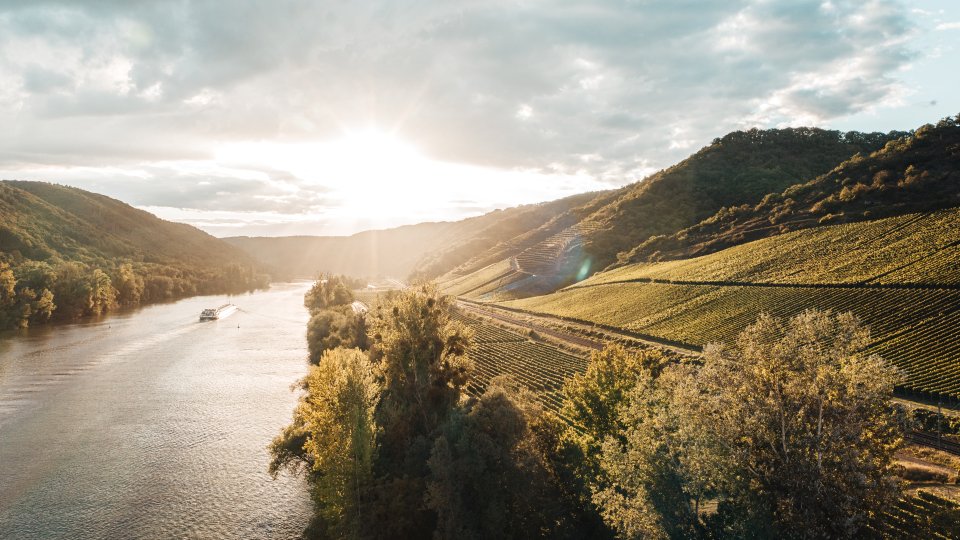 Mosel Deutschland Wein Familienreise