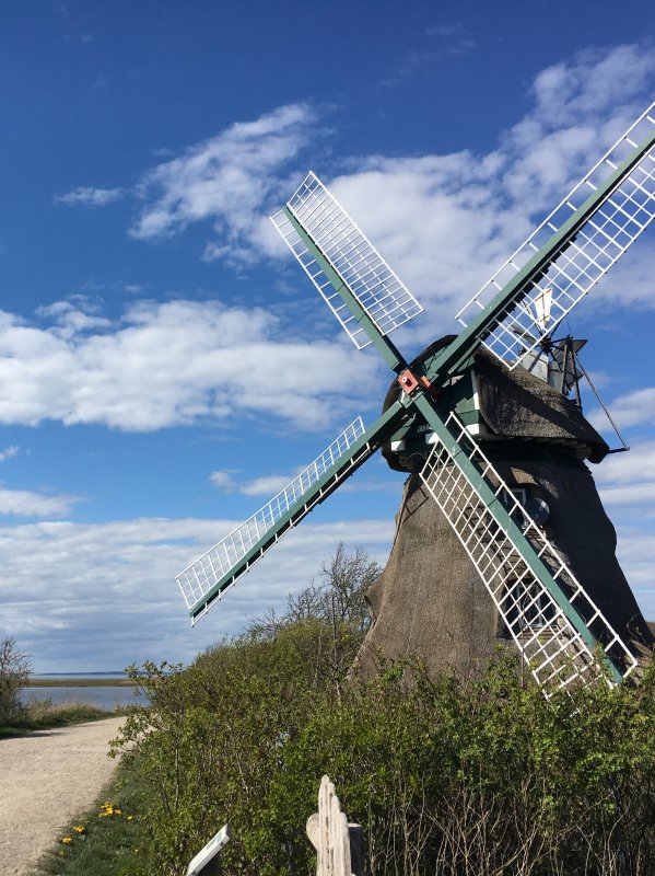 Geltinger Birk Upload Muhle Charlotte