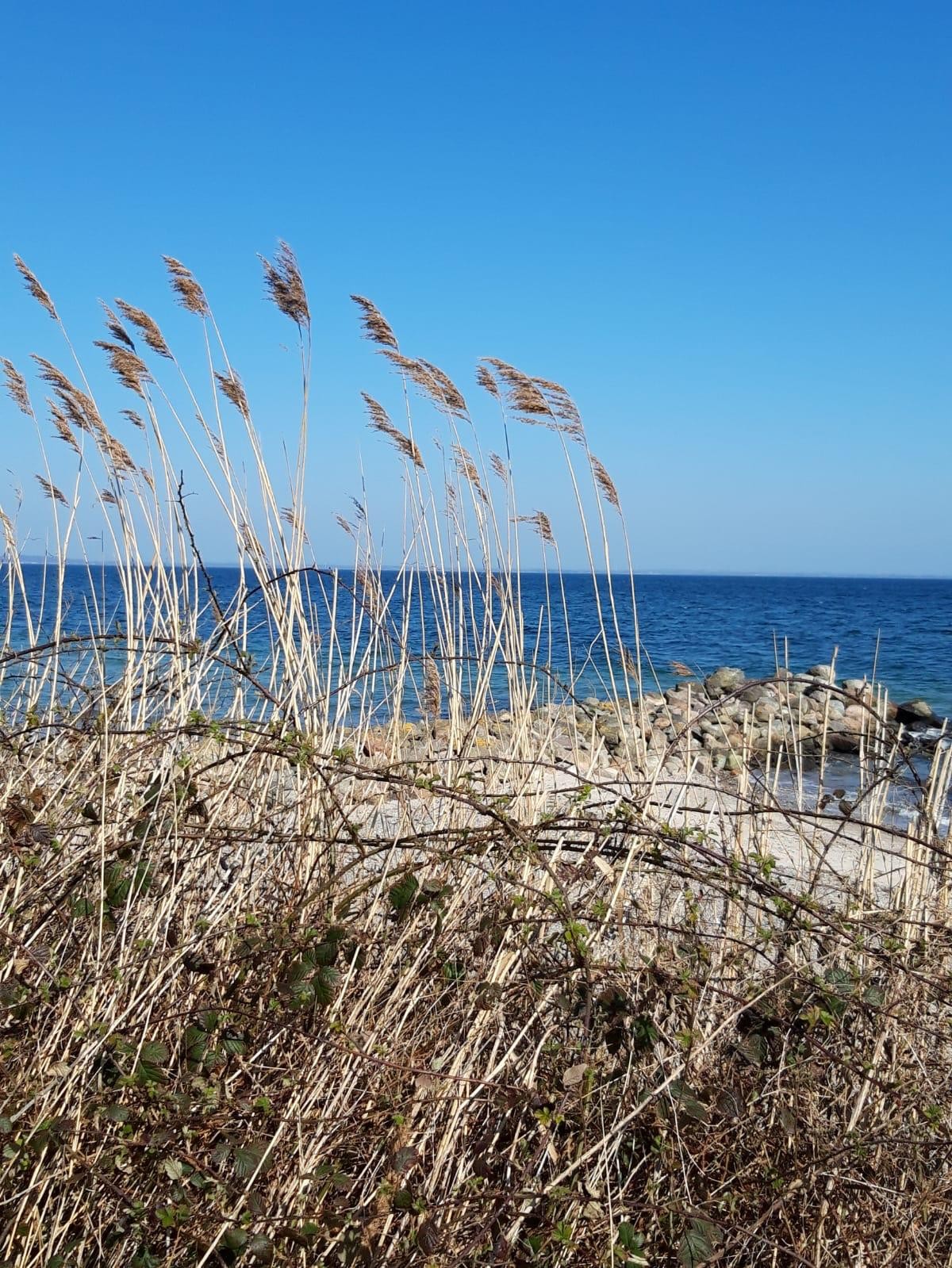 Geltinger Birk Upload Strand