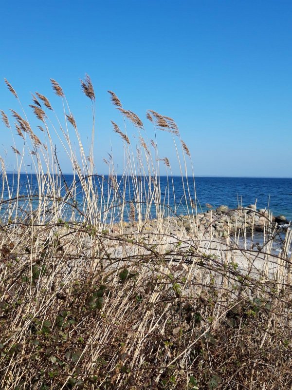 Geltinger Birk Upload Strand