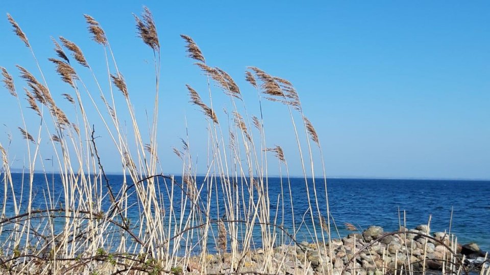 Geltinger Birk Upload Strand