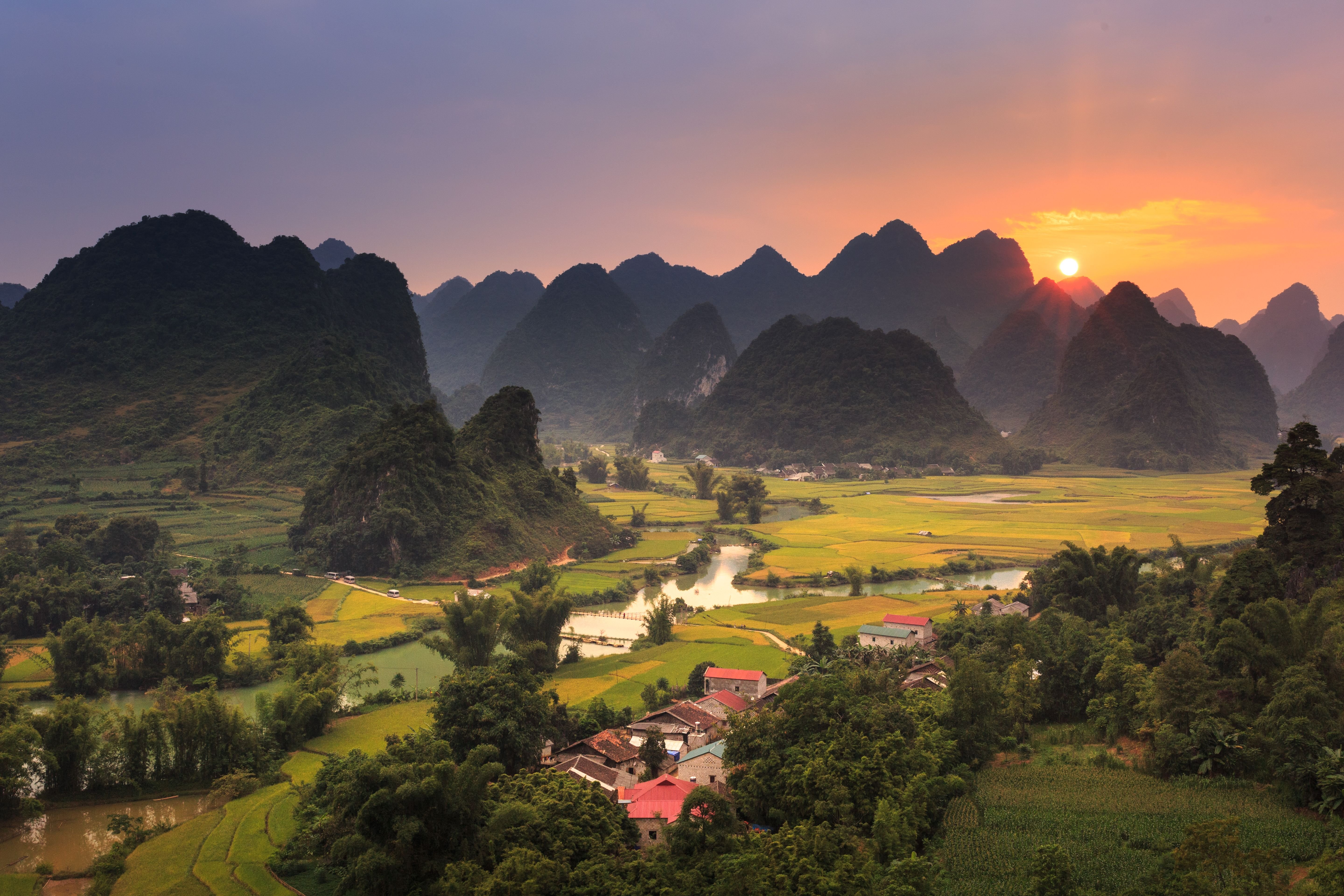 Pexels quang nguyen vinh 222549 6348025